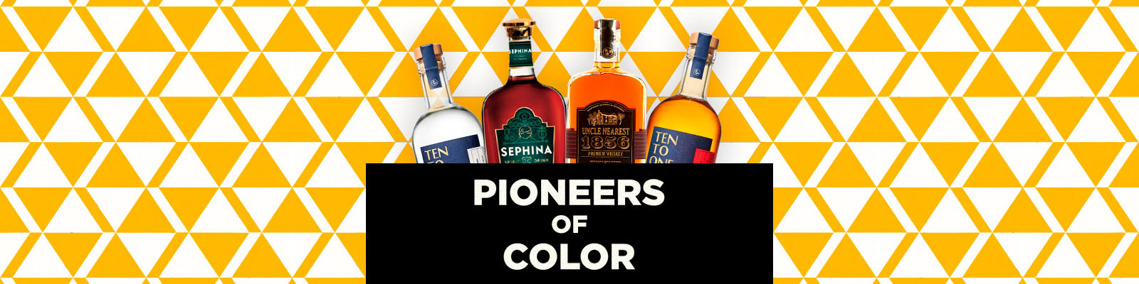 Pioneers of Color 