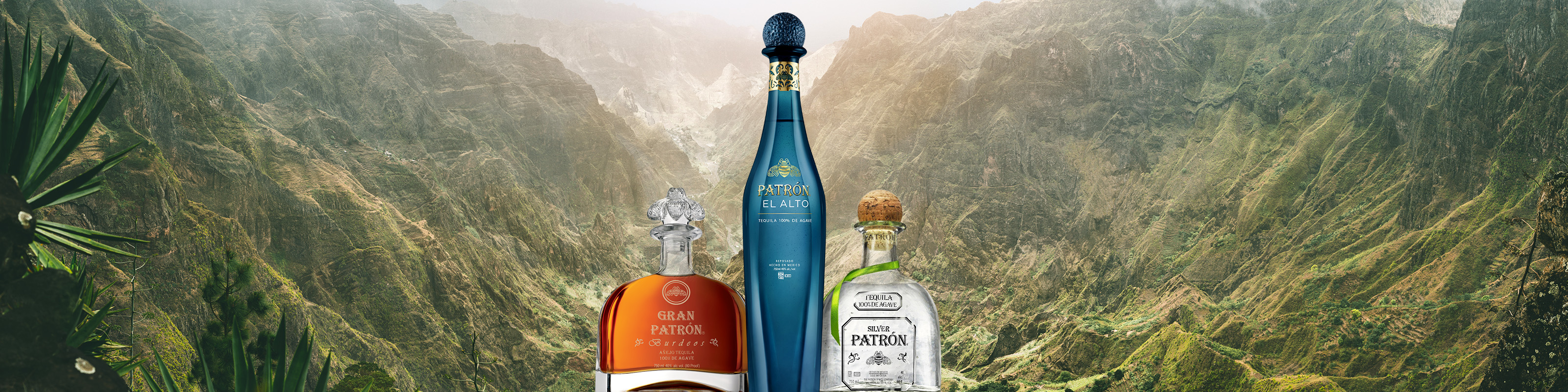 Patrón