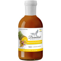 Barmalade Passionfruit-Pineapple Mixer 3-Pack