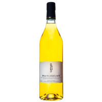 Giffard Wild Elderflower Liqueur