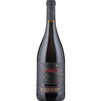 Long Shadows Sequel Syrah