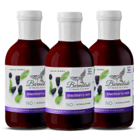 Barmalade Blackberry-Mint Mixer 3-Pack